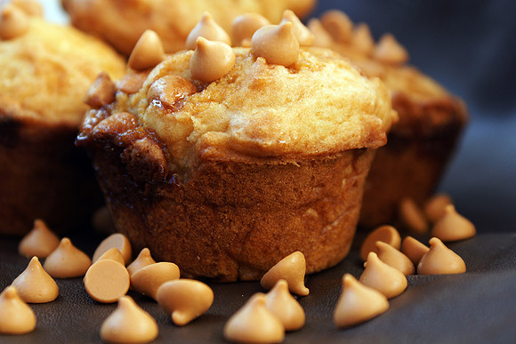 food, baking, sweets, delicious, "treatises bakery", "renee rendall", "monica szczupider"