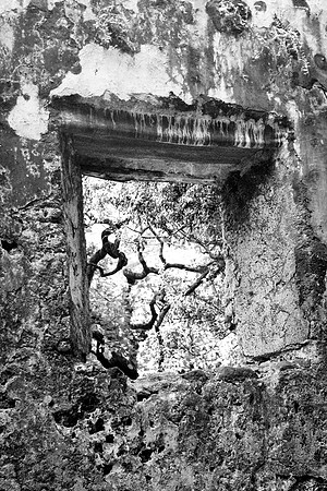 ruins, window, "black and white", hawaii, oahu, "monica szczupider"