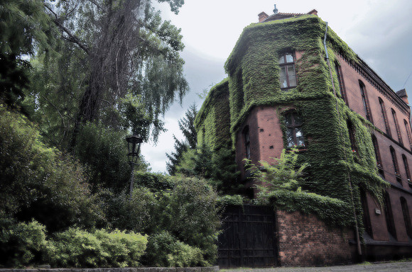 building, plants, old, europe, medieval, romantic, architecture, citym "monica szczupider," poland